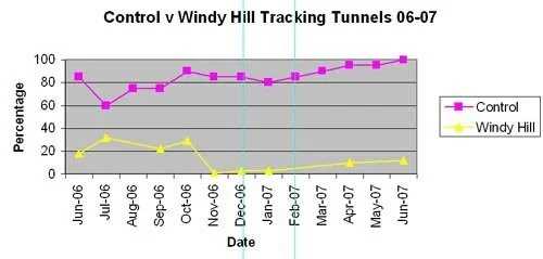 en11-whats-happening-up-at-windy-hill-02.jpeg