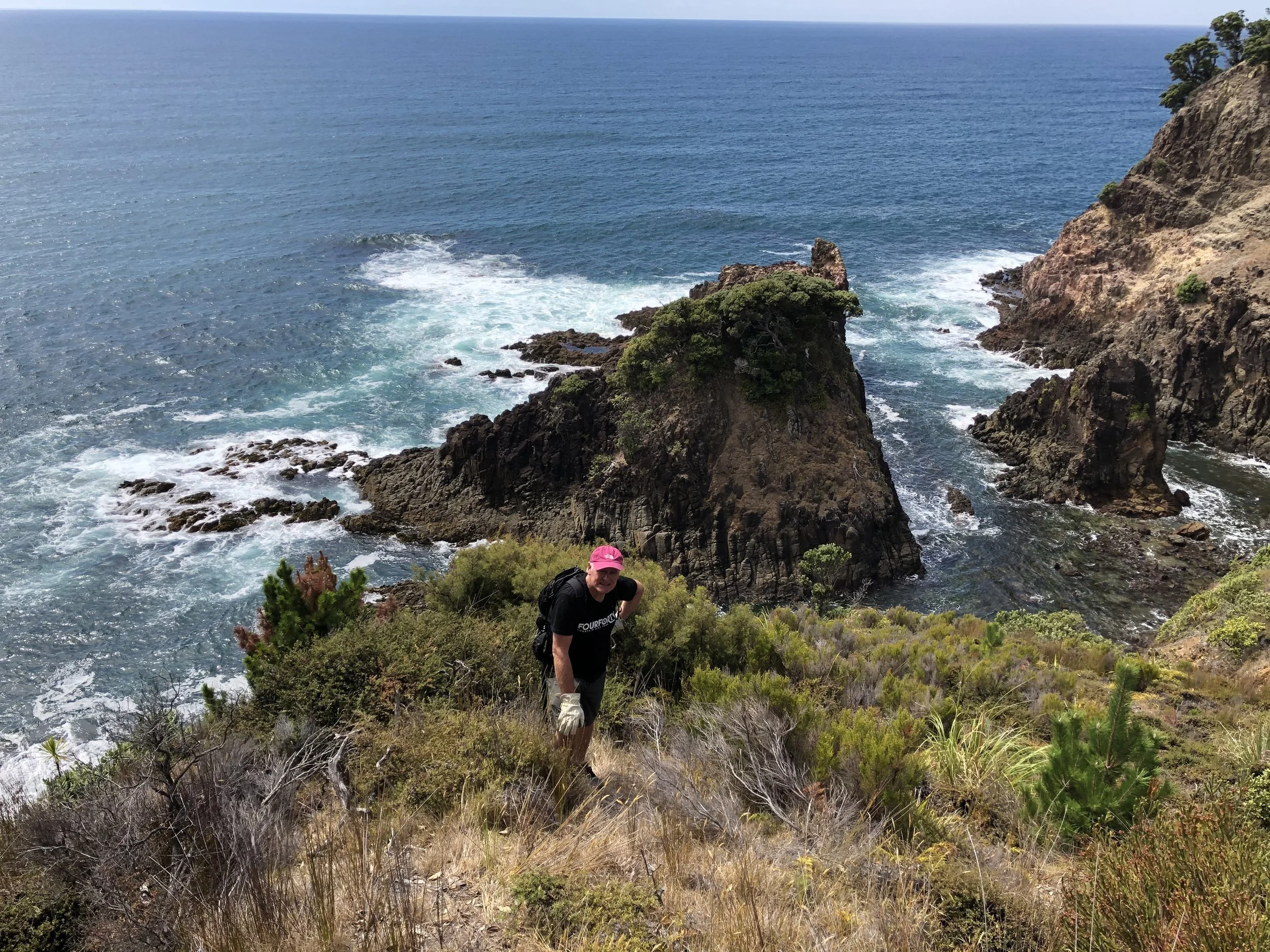   Barry Scott clearing rat traps at Awana petrel colony  