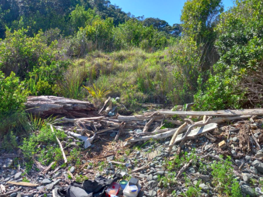   Site for reconstructed natal den site on Motutapu Island isthmus beach (2A) comprising two DOC200 traps in tunnel with infertile penguin egg in central chamber with ‘sonic’ lure (Credit: Greg van der Lee)  