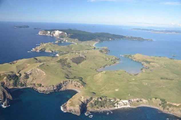   Ahuahu Great Mercury, at 1,872 Ha in area about half the size of Te Paparahi in Aotea Great Barrier’s north (Credit: R Chappell)  