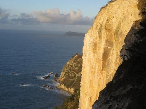   Culturally significant to Māori, the 180-m-high cliffs of Pari-Nui-Te Ra on Ahuahu are known as ‘The Beacon’ and clearly visible from Aotea Great Barrier, as they would have been to anyone arriving by sea (Credit: J Mendonca)  