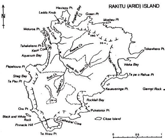 Rakitu from Tane 1982 map