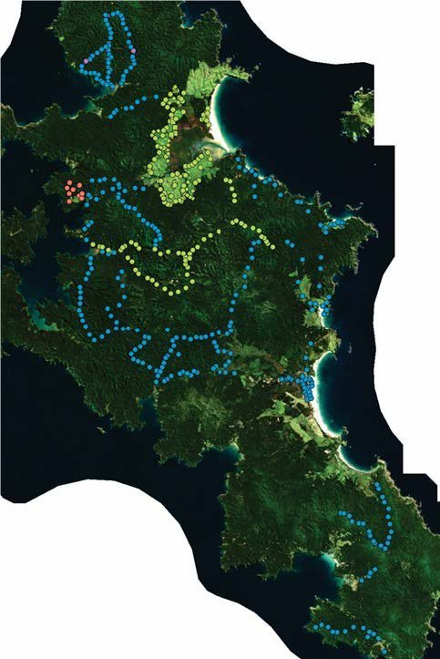   Auckland Council (blue) and DOC (green) cat trapping network (Credit: DOC)  