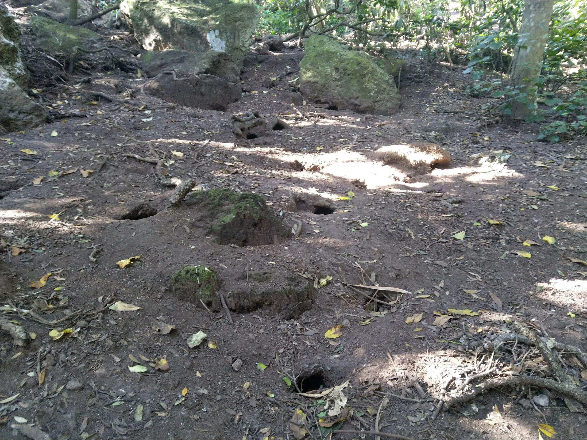 en48-burrowing-into-the-past-02.jpeg