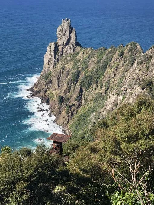   Bream Head showing grey faced petrel breeding site on ridge this side of the Old Woman (Credit: Barry Scott)  
