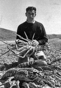 en33-marine-conservation-on-great-barrier-island-05.jpeg