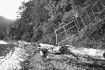 en21-post-eradication-monitoring-in-glenfern-01.jpg