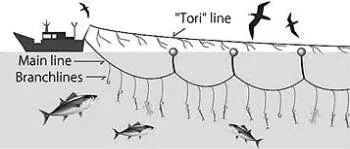   Tori lines, along with other measures can reduce bycatch of petrels by longlines  