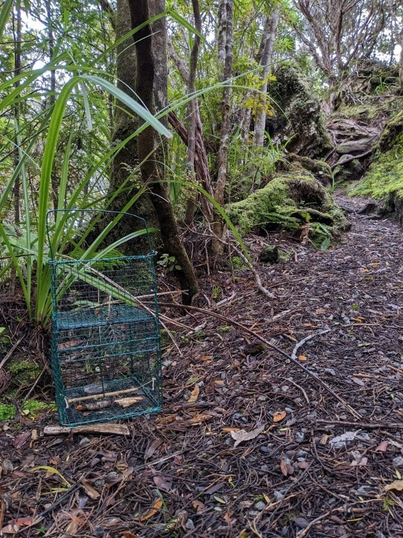 en51-toutouwai-02.jpg