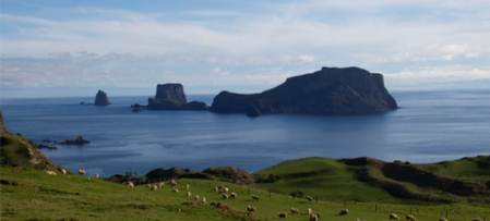 en39-beyond-barrier-conservation-dogs-01.png