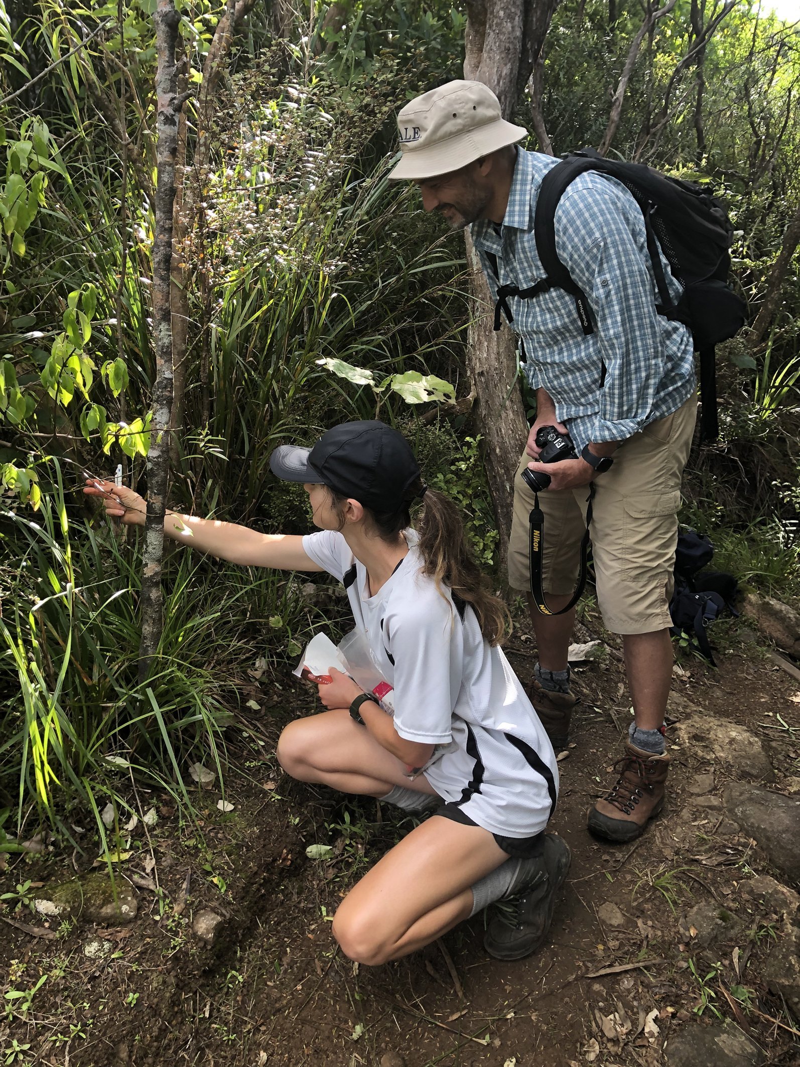   Sophie and Richard discovering L. grandiflora (mikoikoi) near the stairs by Station Rock lookout (Credit: Barry Scott)   
