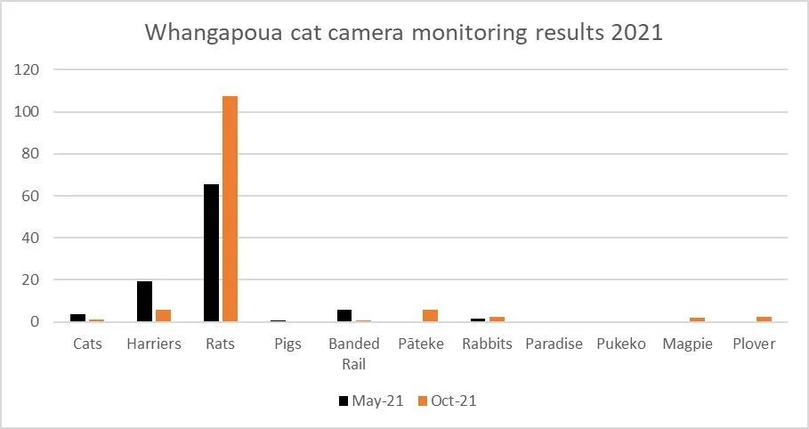   Whangapoua cat camera monitoring results 2021  