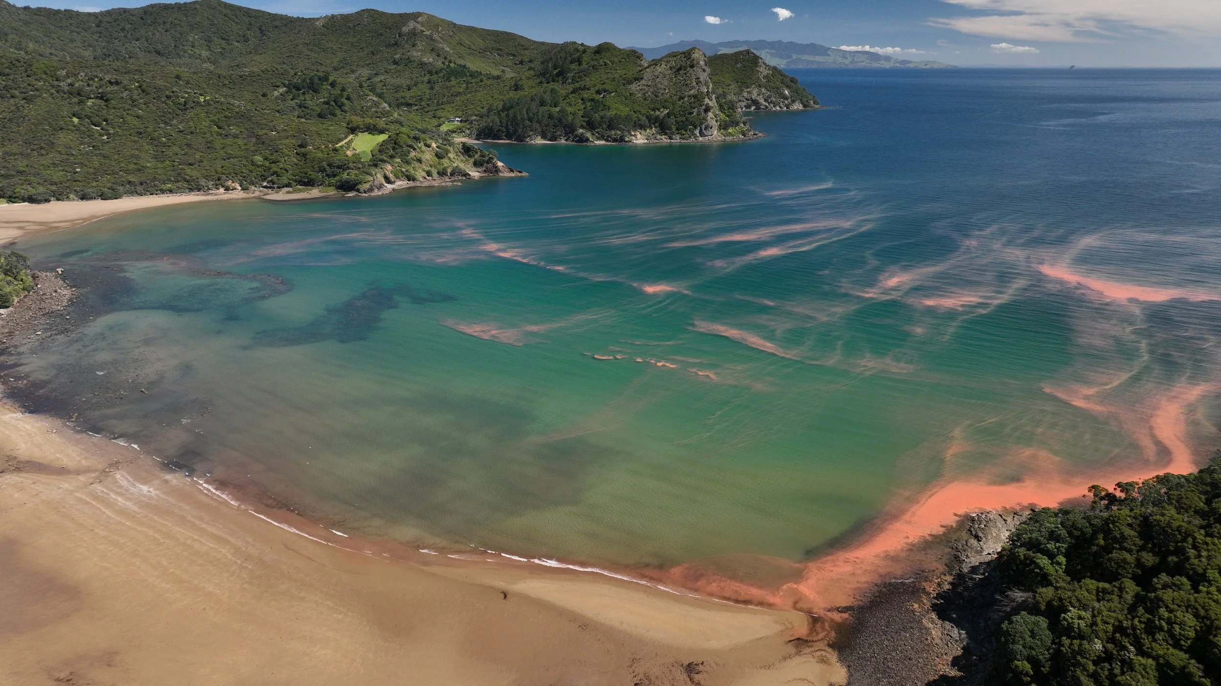 en53-noctiluca-01.jpg