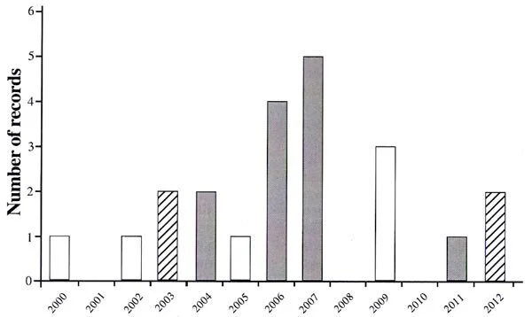   Fig 1. Bittern sightings or booming in the Kaitoke Swamp and environs 2000-2013. Dark bars represent the start of summer periods in which nesting definitely occurred (young seen). Black outlines represent years in which booming was recorded.  