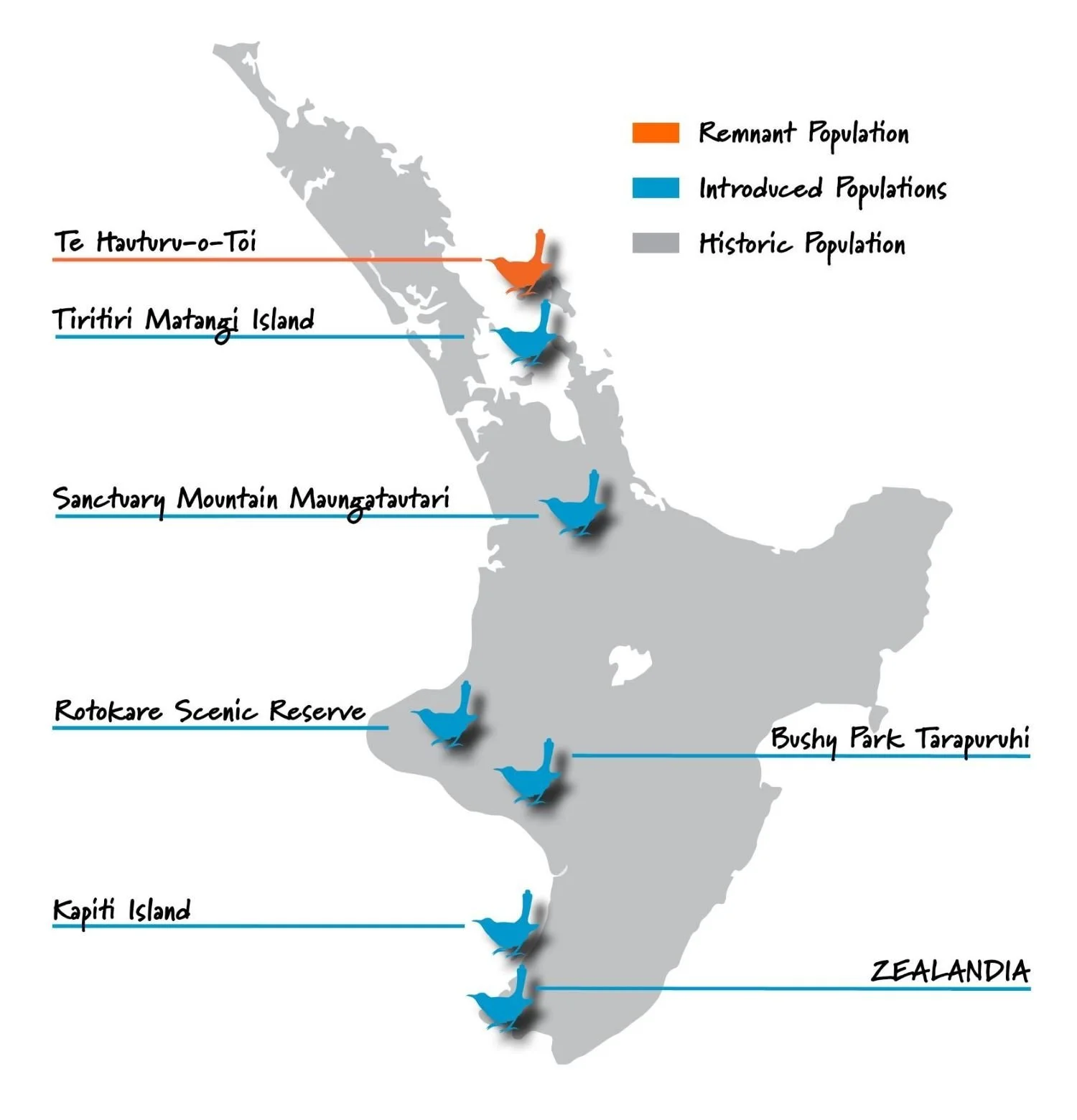   Map of Hihi locations (Image: Hihi Conservation Trust)  
