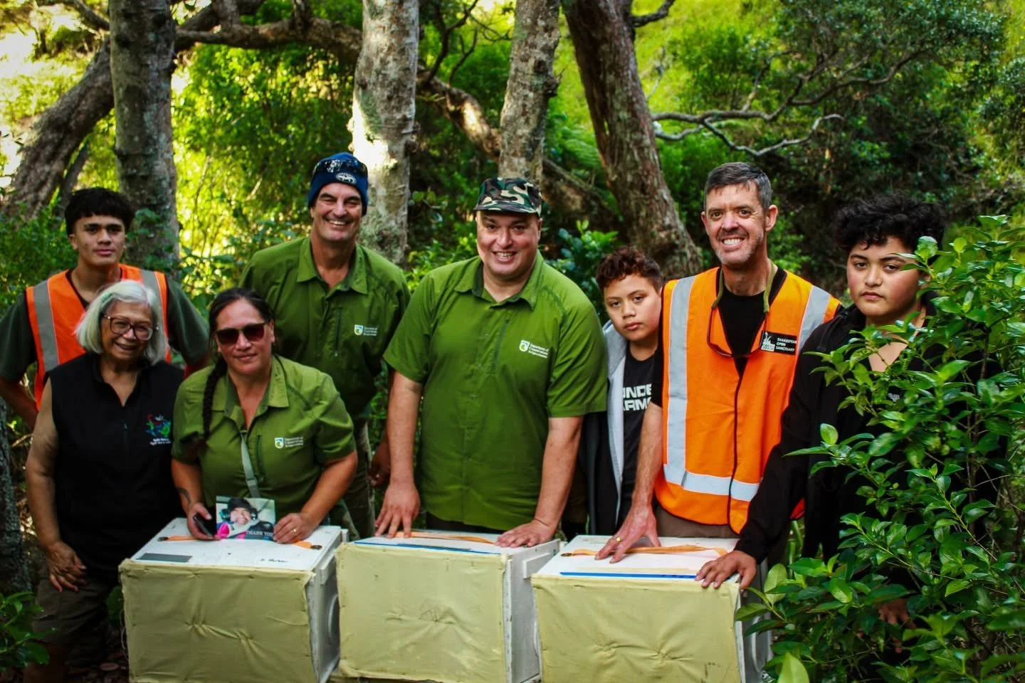   Mana whenua release of Tīeke on Rakitū (Credit: Department of Conservation)  