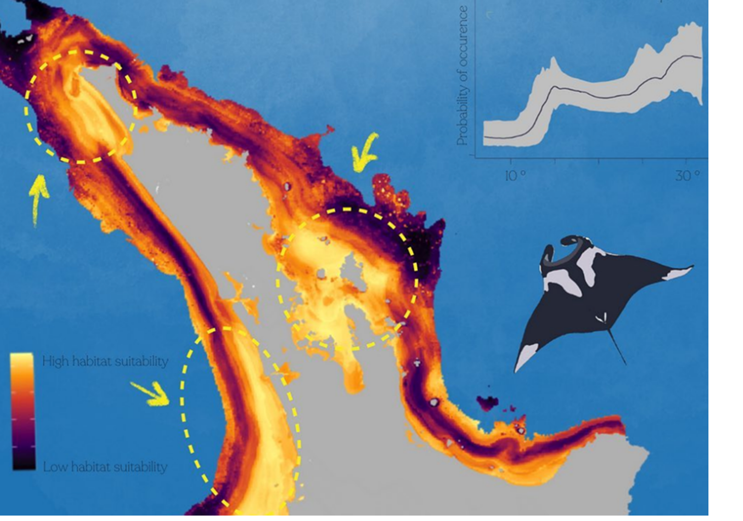   Species Distribution Model using Sightings Data 1994-2021 (Credit: Rikako Orzak)  