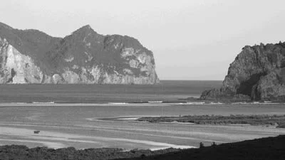   Arid Island (Rakitu) some 5kms off the NE Barrier Coastline is being considered for eradication of rats. Photo: IslandStay  