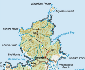  Te Paparahi is the largest tract of possum and mustelid free forest in New Zealand and was the last refuge for kōkako on Aotea. 
