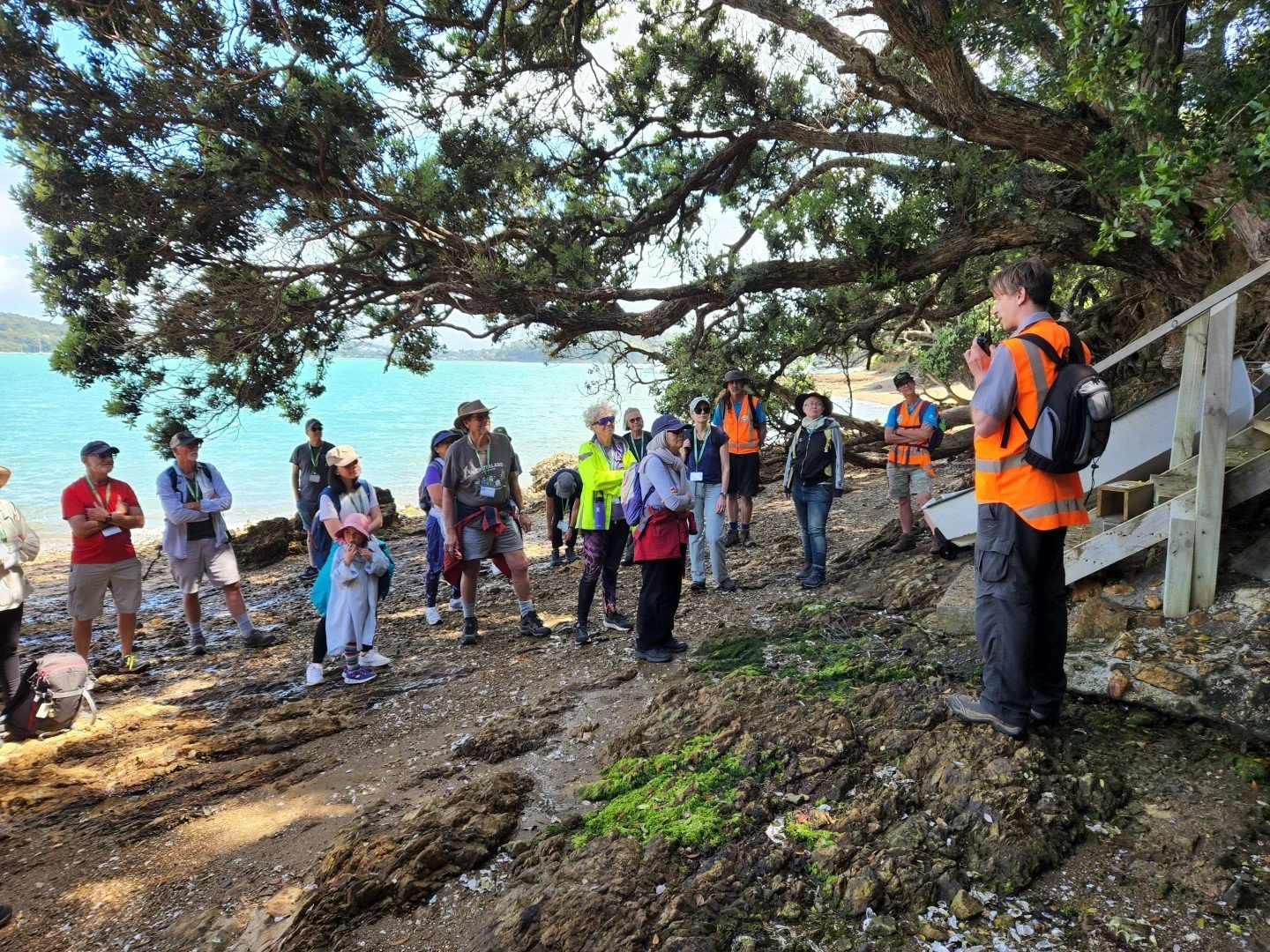 en47-rat-pilot-trials-on-waiheke-island-01.jpg