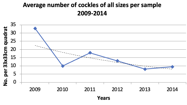     Changes in number of cockles from all sites in all years except 2007, standardized to quadrat averages. 2007 excluded due to different sampling methodology.  Dashed trend line is barely statistically significant (P <.10), but the trend is negative  