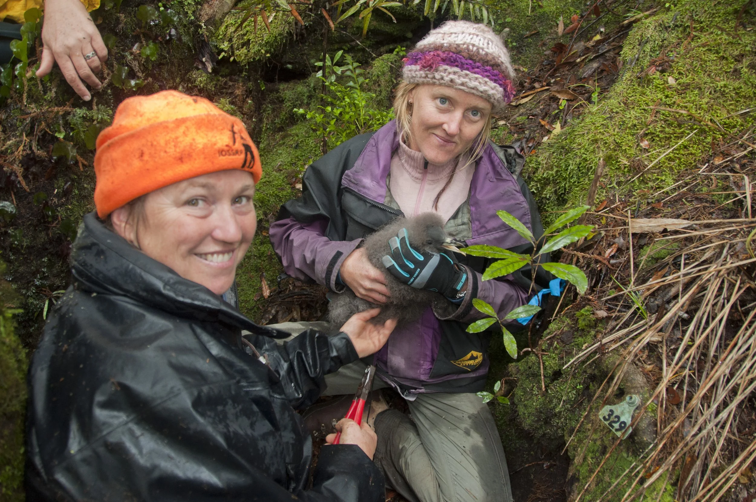 en48-biz-bell-seabird-ecologist-04.jpg