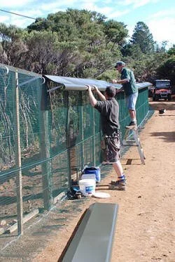 en14-pestproofing-a-peninsular-06.jpg