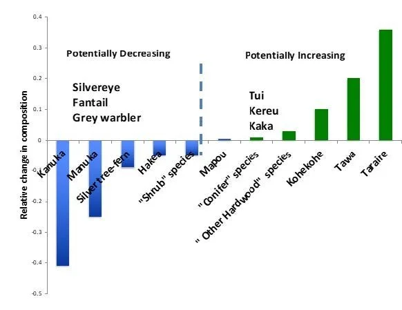   Changes in avifauna associated with changes in forest composition. As kānuka and mānuka decrease (left) species such as tawa and taraire are likely to increase  