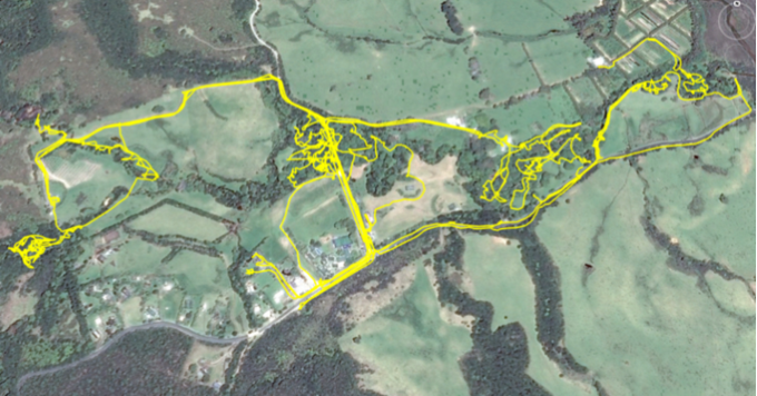  The yellow track shows areas of the Okiwi Valley where searching was carried out for kākāriki nests in December 2017. A subsequent search in February 2018, covered further areas with mature puriri trees. Further searches are planned for later in 2018. 