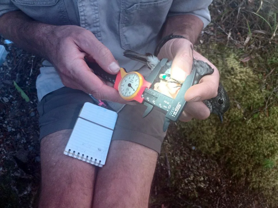 en51-toutouwai-05.jpg