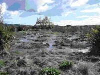 'Airport Pond' October 2009