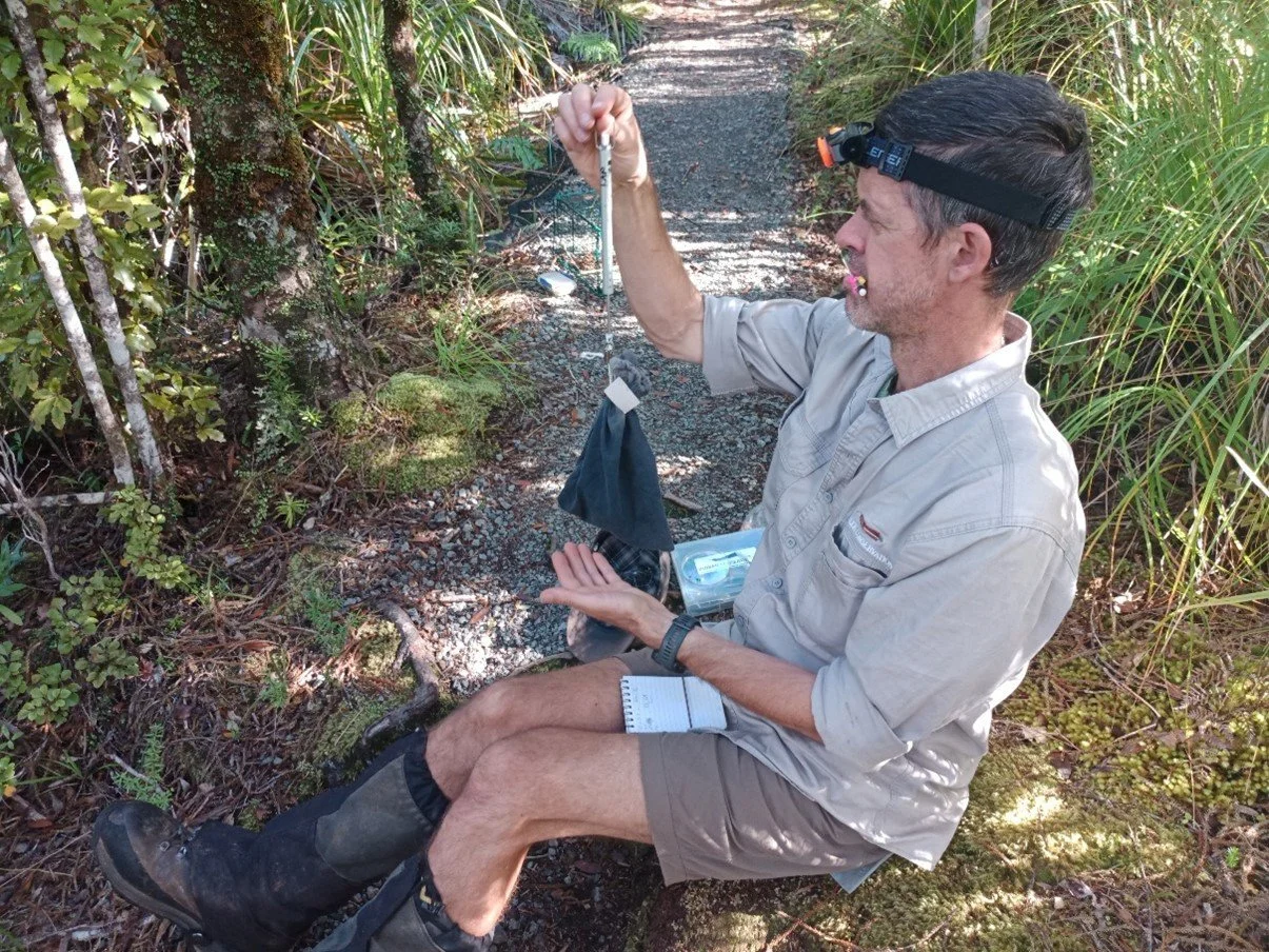 en51-toutouwai-04.jpg