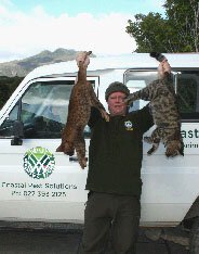 en21-rabbit-cull-exposes-panthers-in-okiwi-01.jpeg