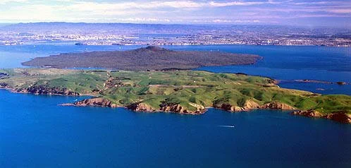 en19-restoring-rangitoto-and-motutapu-islands-01.jpg
