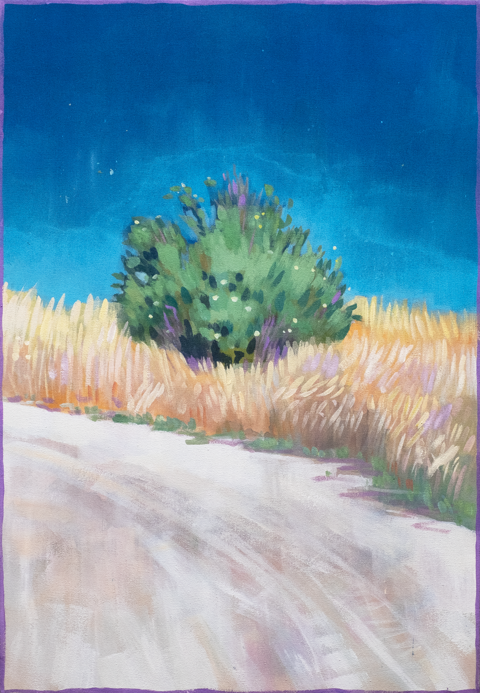 DSCF4222-web.png