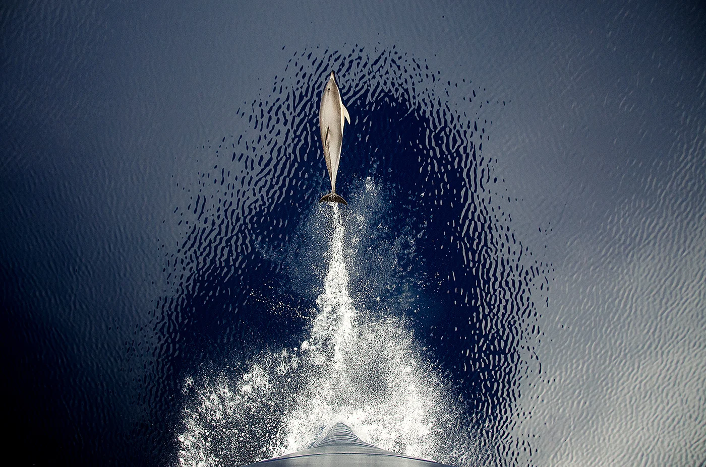 BOWride_websize.jpg