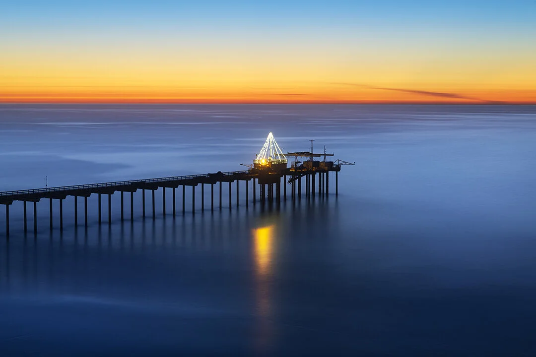 Scripps Tree_web2.jpg