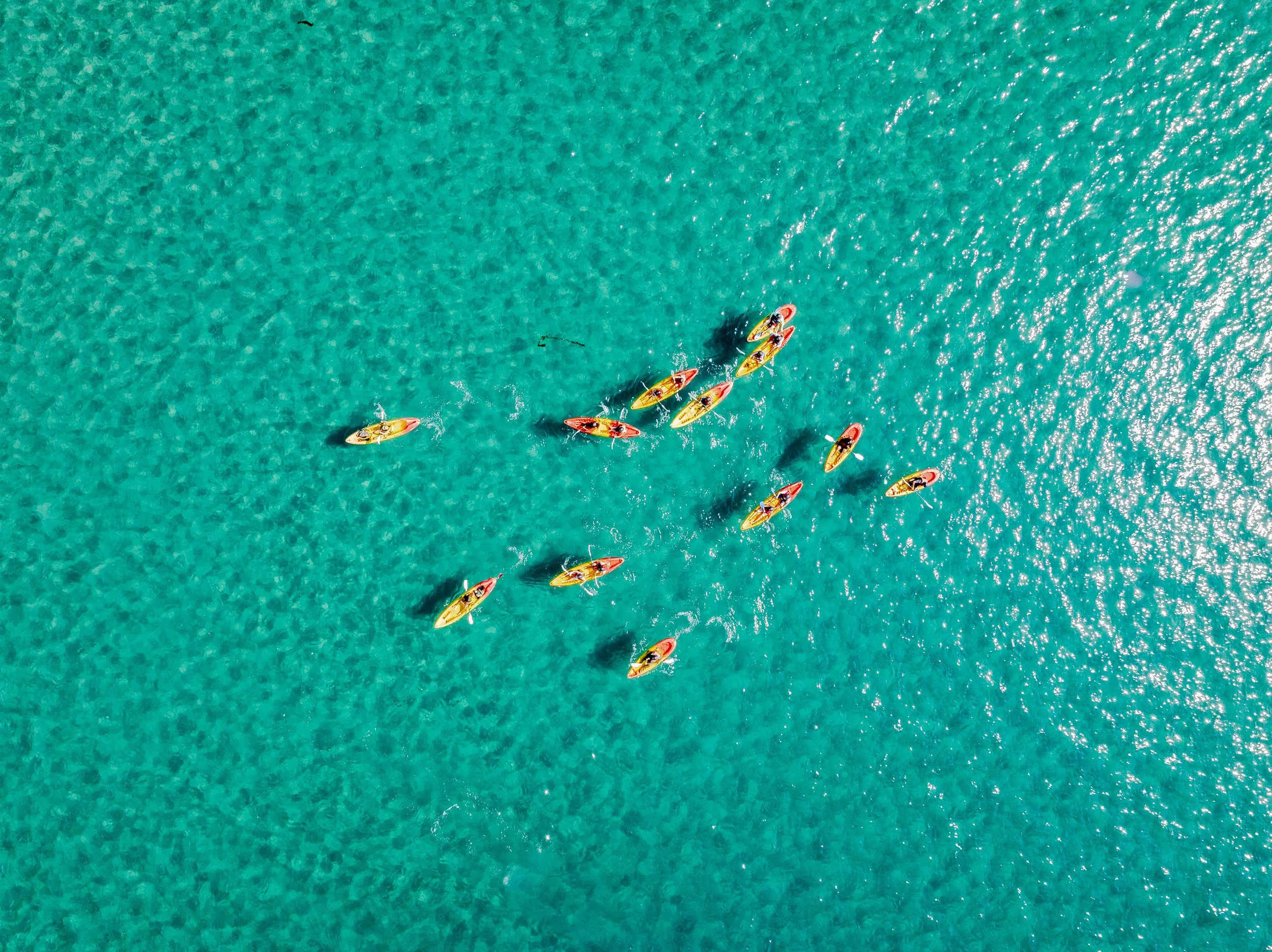DJI_20240809064142_0344_D_SDPHOTOS.jpg