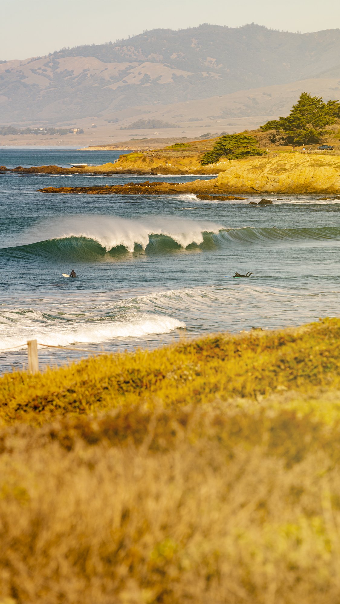 Cambria_08.jpg