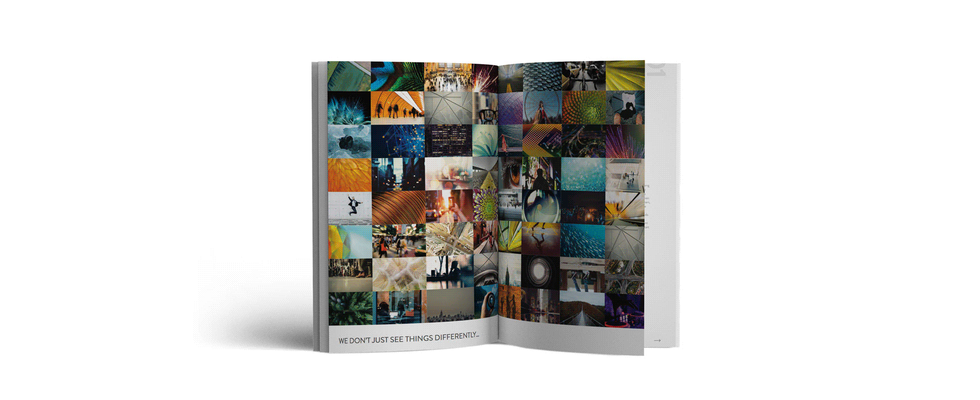 Brochure3.gif