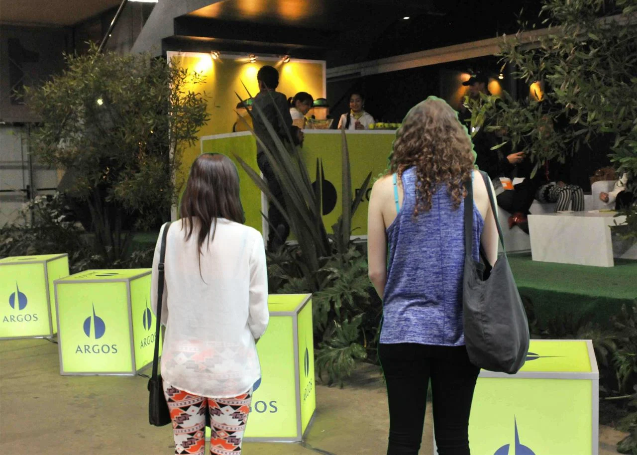 Viejas_Viendo_planta.41211954_large.jpg