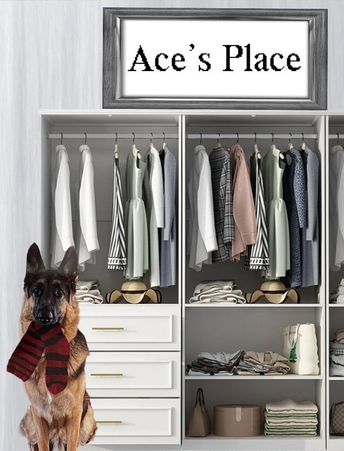 Ace%2527s%2BPlace.jpg