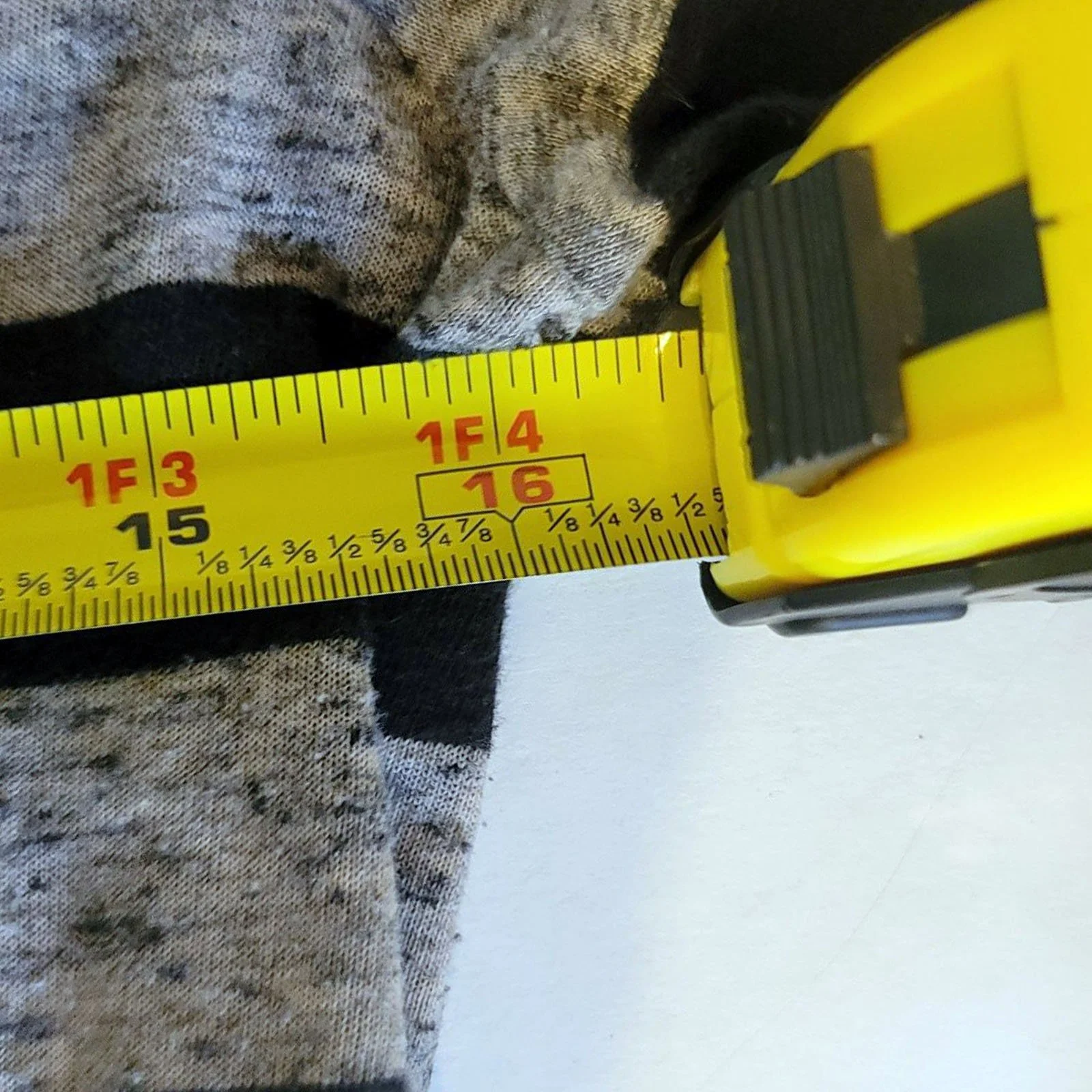 490cs5.jpg