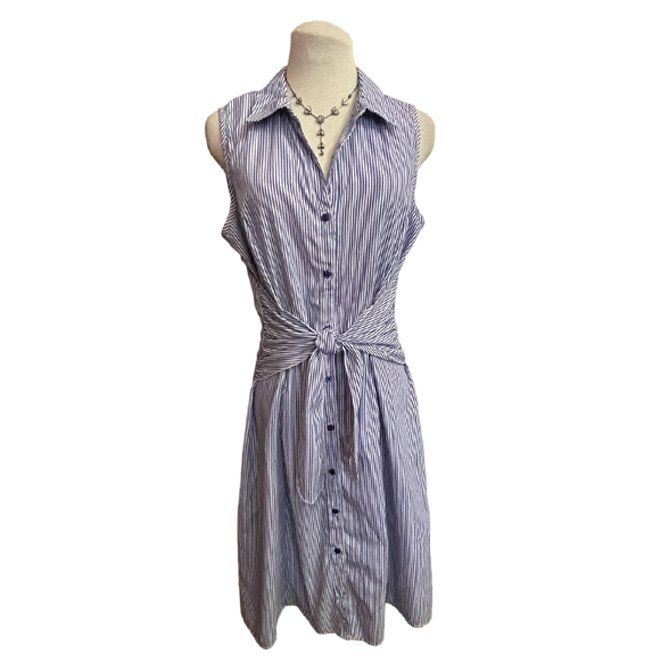 Mlle Gabrielle Blue White Striped Button Down Dress Size M