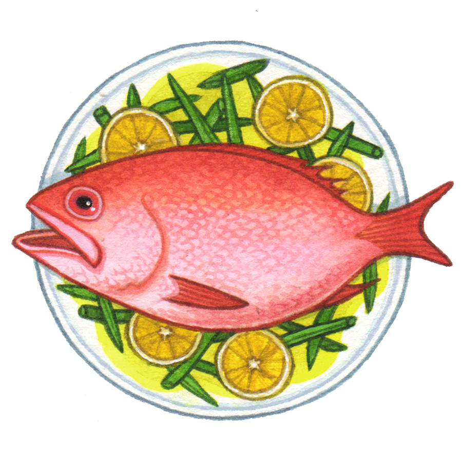 Red Snapper