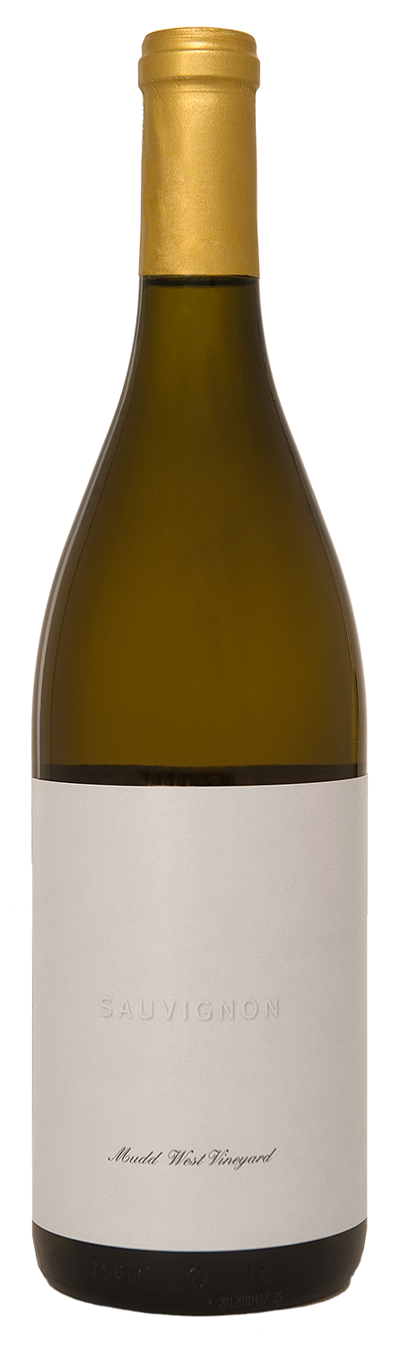 sauvignon-web.png