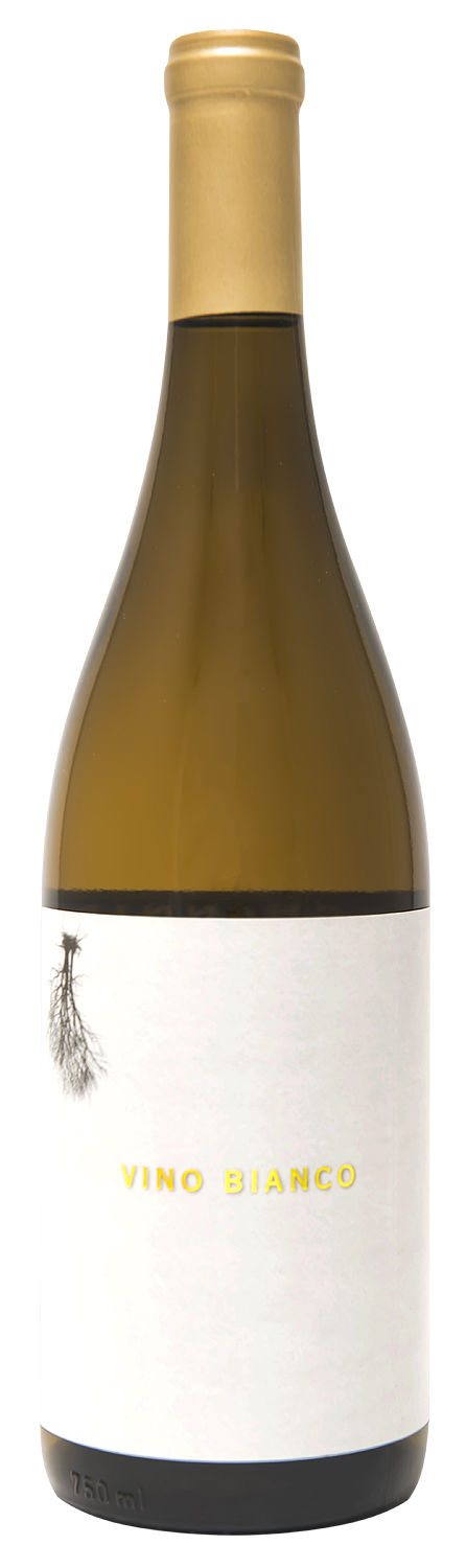 _SQ-vino-bianco.png