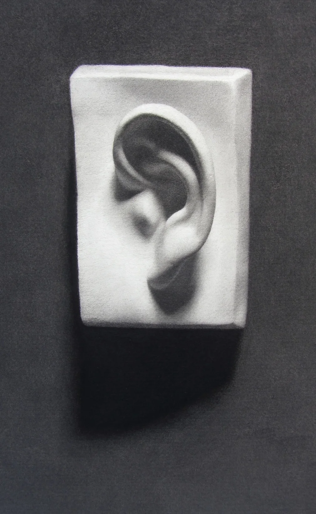 Ear Cast Drawing Lrg.jpg