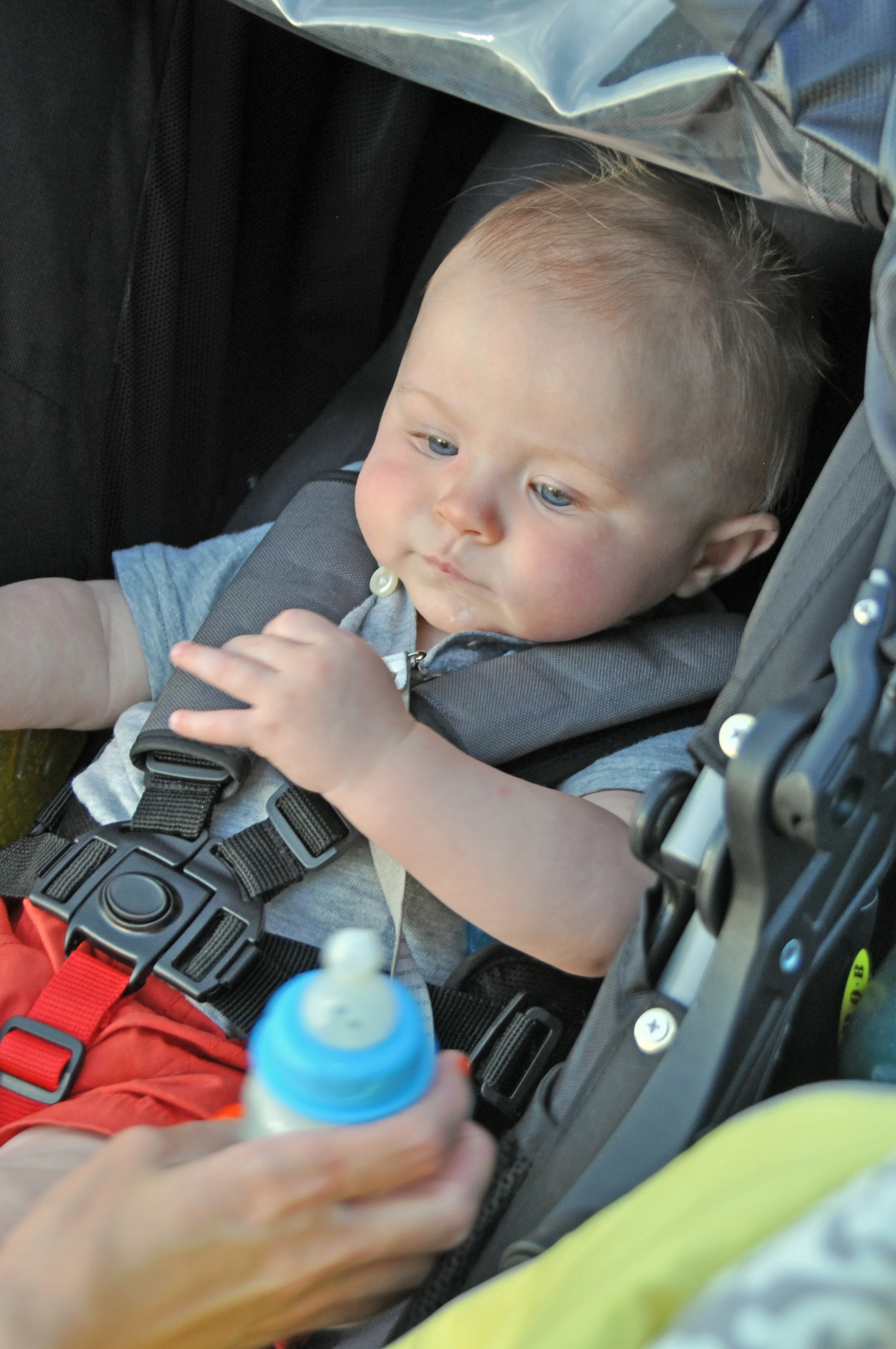 DSC_0026_edited-1.JPG