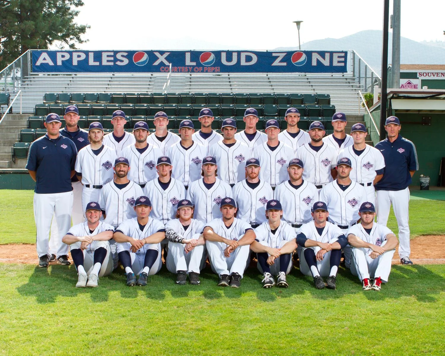 The 2015 AppleSox finished 24-30 in WCL play, and were 27-31 overall.